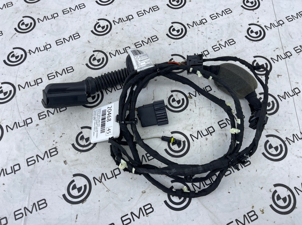 Проводка двери BMW X6 xDrive30i M Sport LCI 2023 G06 B48B20S Задн. Прав.