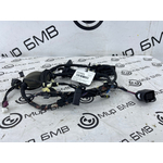 Проводка двери BMW X4 xDrive20d LCI 2023 G02 B47D20B Задн.