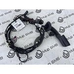 Проводка двери BMW X4 xDrive20d LCI 2023 G02 B47D20B Задн.