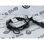 Проводка двери BMW X4 xDrive20d LCI 2023 G02 B47D20B Задн.