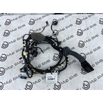 Проводка двери BMW X4 xDrive20d LCI 2023 G02 B47D20B Перед.
