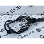 Проводка двери BMW X4 M40i LCI 2023 G02 B58B30C Задн.