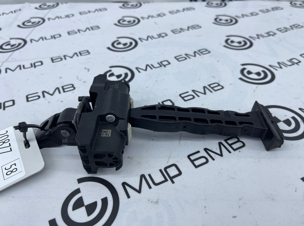 Ограничитель двери BMW X7 xDrive40i LCI 2023 G07 B58B30P Перед.