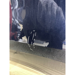 Дверь боковая BMW X5 xDrive50e LCI 2023 G05 B58B30S Задн. Лев.