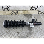 Амортизатор подвески BMW X5 xDrive30d LCI 2023 G05 B57D30B Перед. Прав.