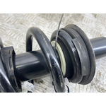 Амортизатор подвески BMW X4 xDrive20d LCI 2023 G02 (B47D20B Задн.