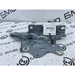 Петля капота BMW X6 xDrive30d M Sport LCI 45216 G06 B57D30B Лев.