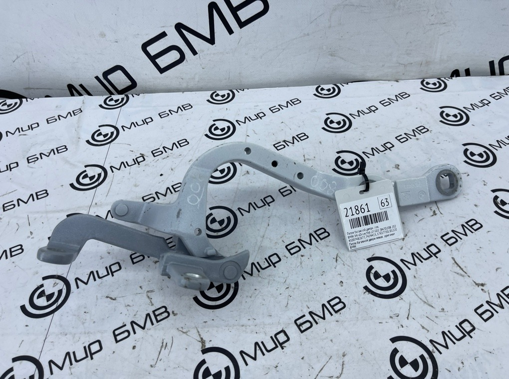 Петля багажной двери BMW X4 xDrive20d LCI 2023 G02 (B47D20B Лев.