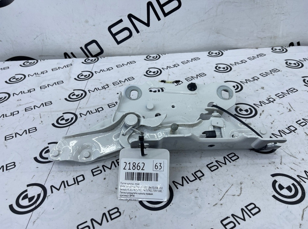 Петля капота BMW X4 xDrive20d LCI 2023 G02 (B47D20B Прав.