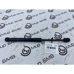 Амортизатор капота BMW X4 xDrive20d LCI 2023 G02 (B47D20B