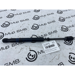 Амортизатор капота BMW X4 xDrive20d LCI 2023 G02 (B47D20B