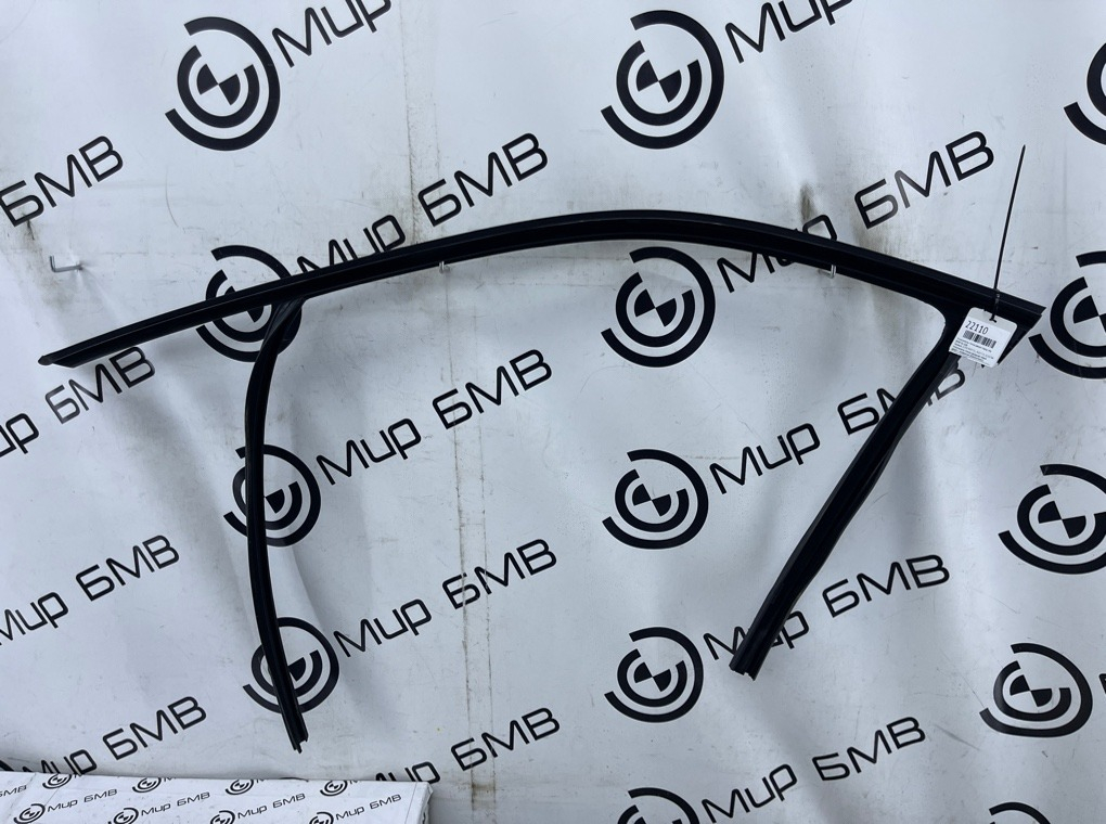 Уплотнитель стекла двери BMW X6 G06 Перед. Лев.