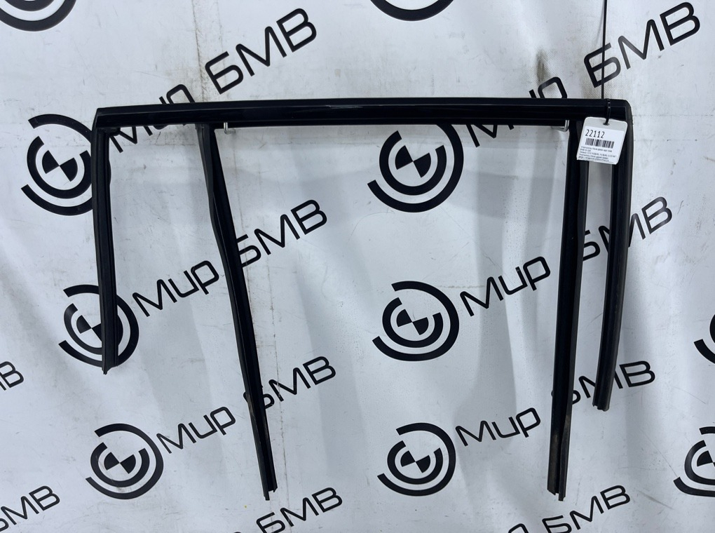 Уплотнитель стекла двери BMW X5 G05 Задн. Прав.