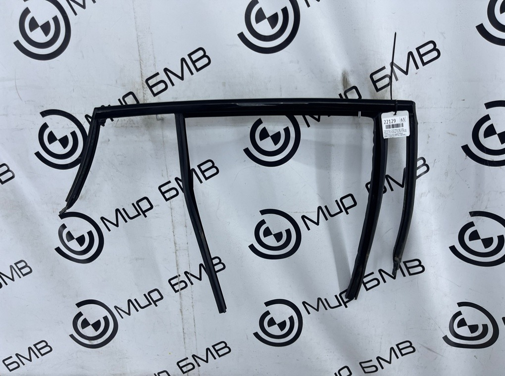 Уплотнитель стекла двери BMW X4 xDrive20d LCI 2023 G02 (B47D20B Задн. Прав.