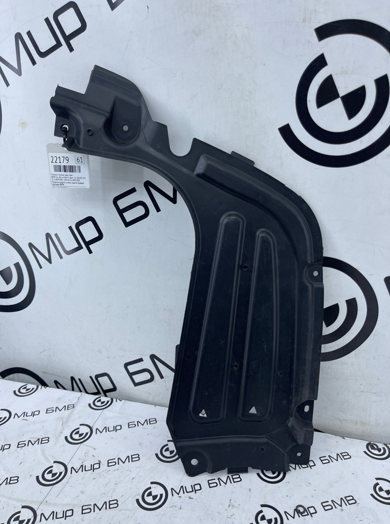 Пыльник кузова BMW X6 xDrive30d M Sport LCI 45216 G06 B57D30B Задн. Прав.